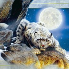 Cross stitch pattern: #454324