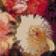Preview of cross stitch pattern: #455592