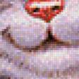 Preview of cross stitch pattern: #455729
