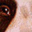 Preview of cross stitch pattern: #455741