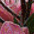 Preview of cross stitch pattern: #455824