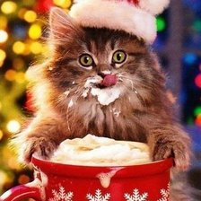 Cross stitch pattern: #456199