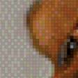 Preview of cross stitch pattern: #456248