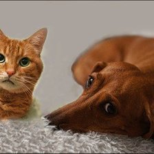 Cross stitch pattern: #456248