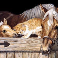 Cross stitch pattern: #456437