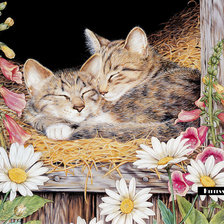 Cross stitch pattern: #456452