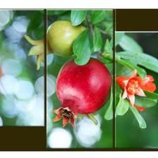 Cross stitch pattern: #456483