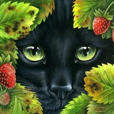 Cross stitch pattern: #456486