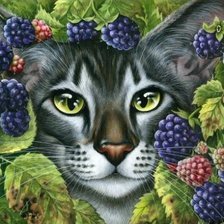 Cross stitch pattern: #456488