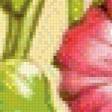 Preview of cross stitch pattern: #456648