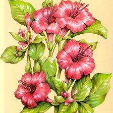 Cross stitch pattern: #456648