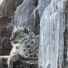 Cross stitch pattern: #456654