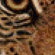 Preview of cross stitch pattern: #456657