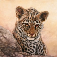 Cross stitch pattern: #456657
