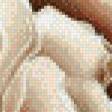 Preview of cross stitch pattern: #457300