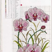 Cross stitch pattern: #457649