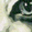 Preview of cross stitch pattern: #457861