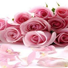 Cross stitch pattern: #457925