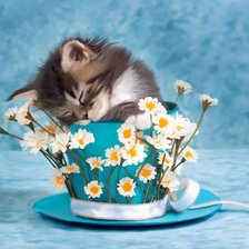 Cross stitch pattern: #457943