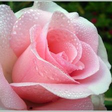 Cross stitch pattern: #458101