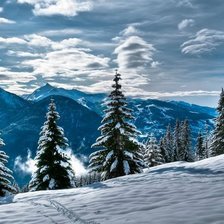 Cross stitch pattern: #459389