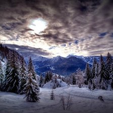 Cross stitch pattern: #459401