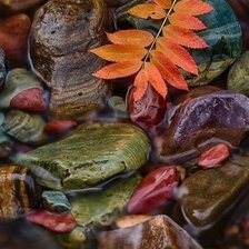 Cross stitch pattern: #460425