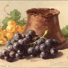 Cross stitch pattern: #460517