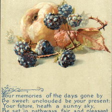 Cross stitch pattern: #460581