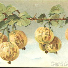 Cross stitch pattern: #460636