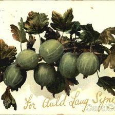 Cross stitch pattern: #460641