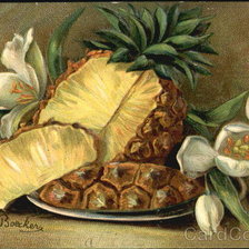 Cross stitch pattern: #460648