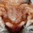 Preview of cross stitch pattern: #460836