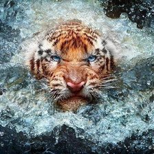 Cross stitch pattern: #460836