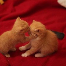 Cross stitch pattern: #461056