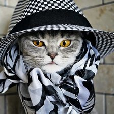 Cross stitch pattern: #461061