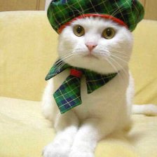 Cross stitch pattern: #461066