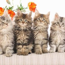 Cross stitch pattern: #461076