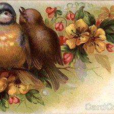 Cross stitch pattern: #461211