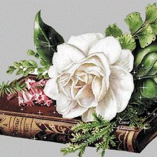 Cross stitch pattern: #461234