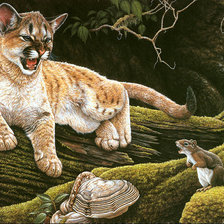 Cross stitch pattern: #462099