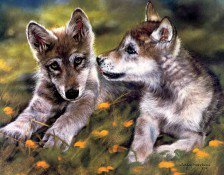 Cross stitch pattern: #462105