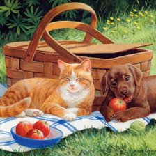Cross stitch pattern: #462108