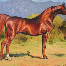 Cross stitch pattern: #462110