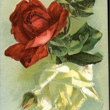 Cross stitch pattern: #462383