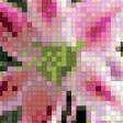 Preview of cross stitch pattern: #462612