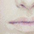 Preview of cross stitch pattern: #462650