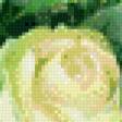 Preview of cross stitch pattern: #462841