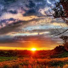 Cross stitch pattern: #462869