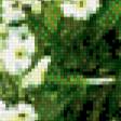 Preview of cross stitch pattern: #462872